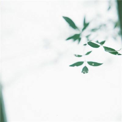 暴雨黄色预警发布！全市启动防汛防台三级响应行动